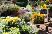 Feature-Gardens-OKC1-200 Garden Cart
